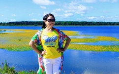 花粉少女注意报种子